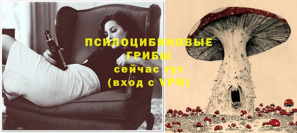 соль ск Ростов